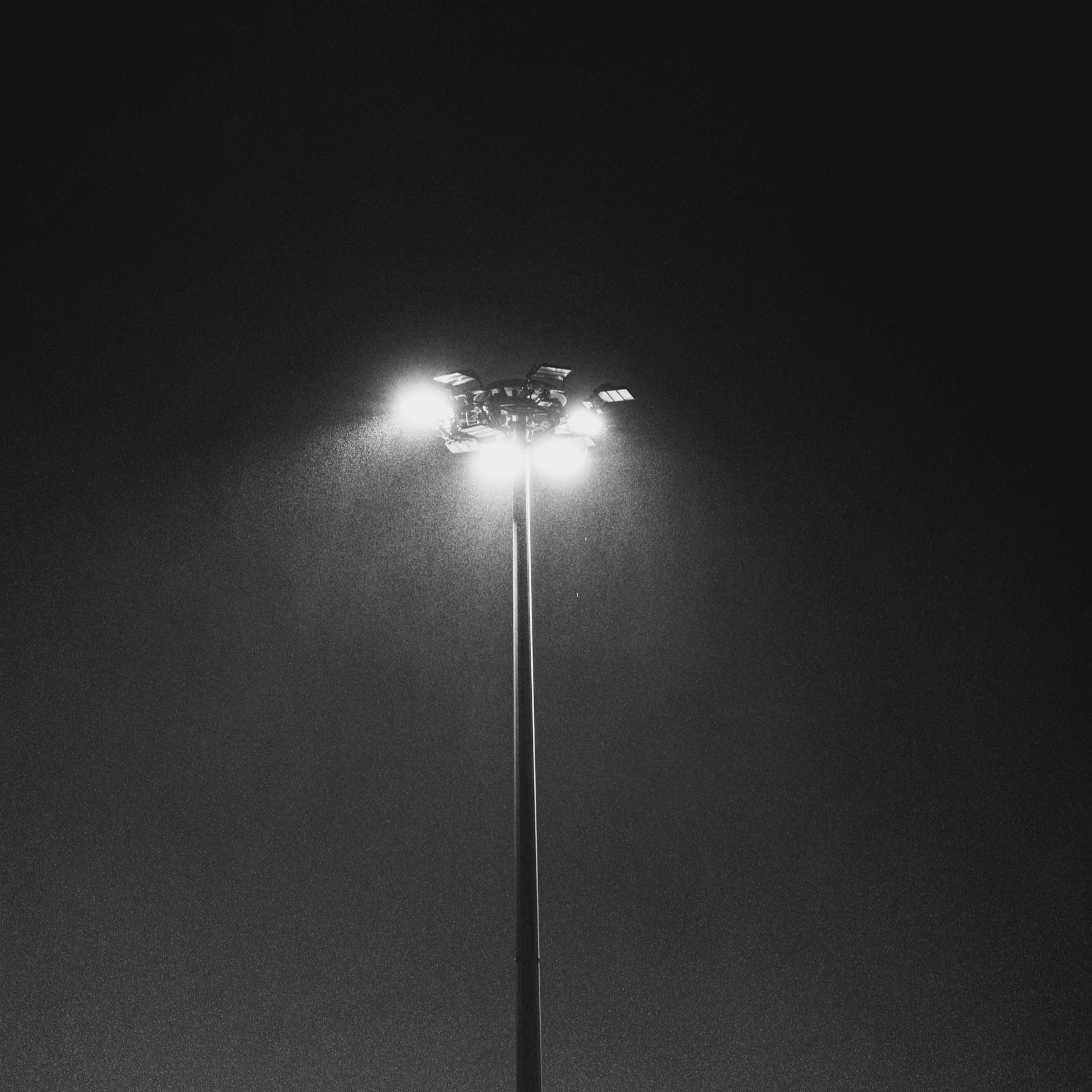 Late At Night - Don Toliver @adilsonlucau artwork by Adilson Lucau