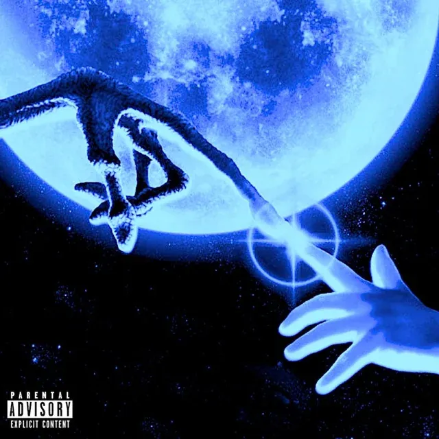 No Trace No Case artwork by kookup