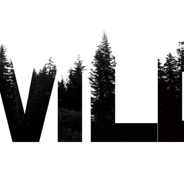 Ct Wild artwork by Bluu Flamez