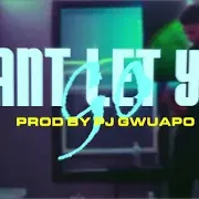 Jaaaay3 x Roid Type beat "Can't let you go" | WestCoast Type Beat 2025 | artwork by pjgwuapo