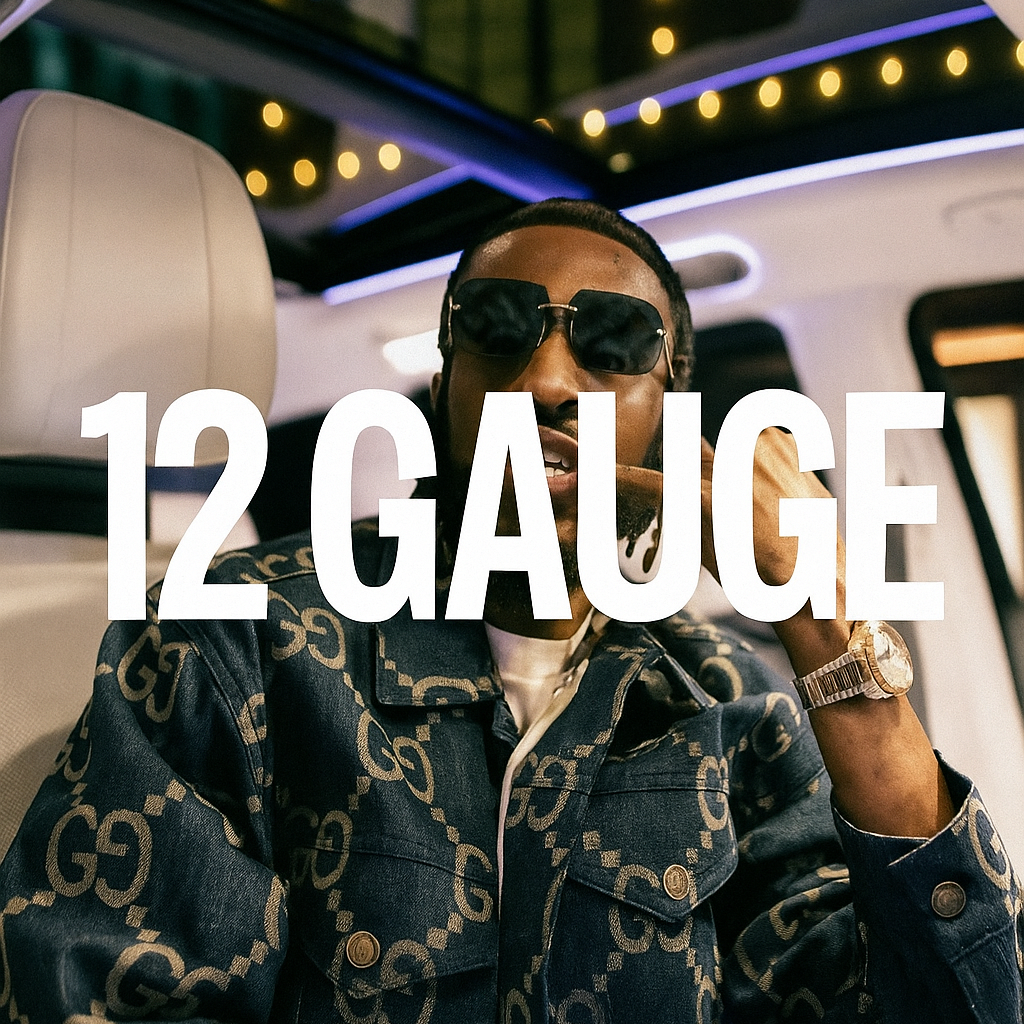 12 Gauge artwork by Suavo