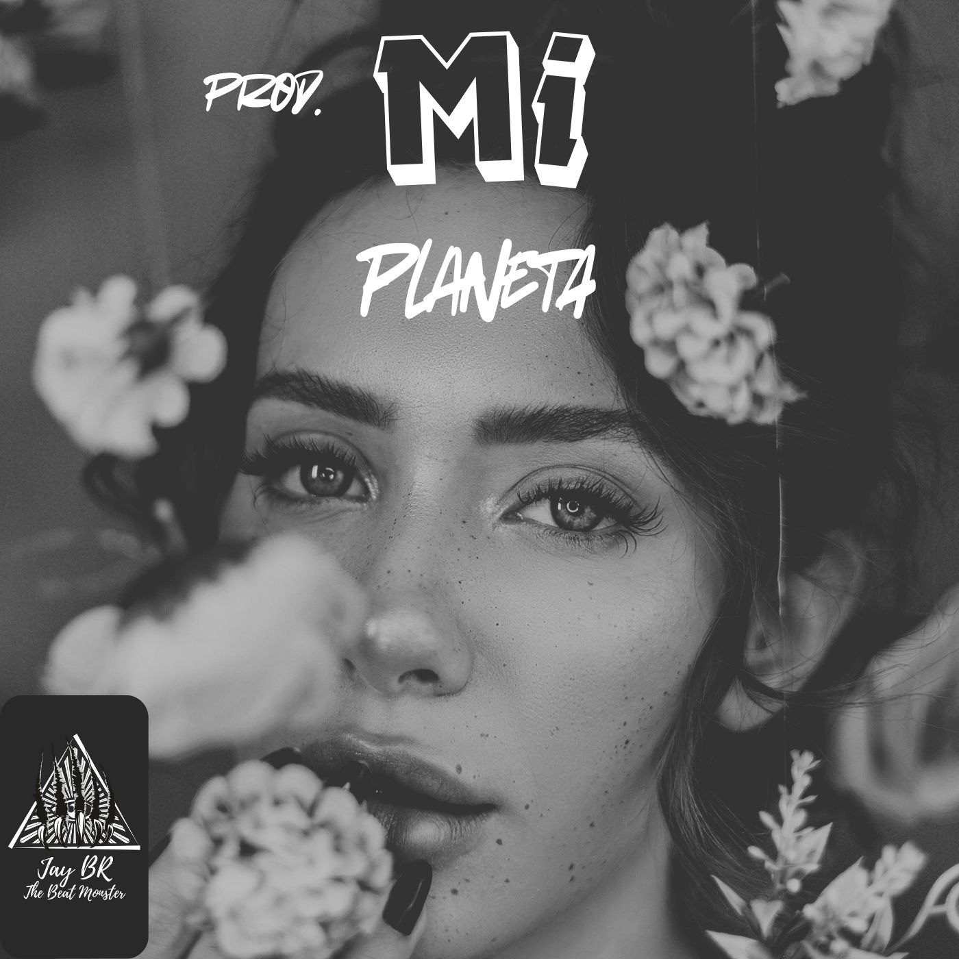 Mi Planeta   (Reggaeton Beat) artwork by Jay BR "The Beat Monster"